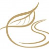 Synthesis Counselling Service