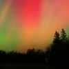 Aurora Psychotherapy