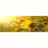 counselling-a-space4u