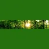 Professional Counselling Service