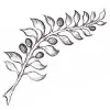 Olive Branch Counselling