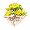 time to share counselling & psychotherapy